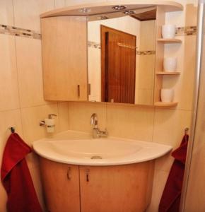 W łazience znajduje się umywalka i lustro. w obiekcie Waldhaus Jakober w mieście Bad Liebenwerda