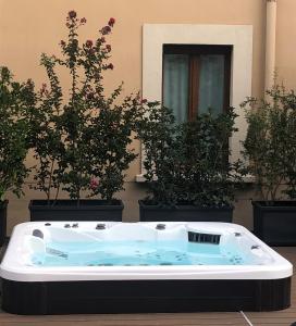 een hot tub in een kamer met potplanten bij Casa Diverio in Stresa