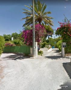 een grindweg met een palmboom en roze bloemen bij Camping Santa Clara in Altea