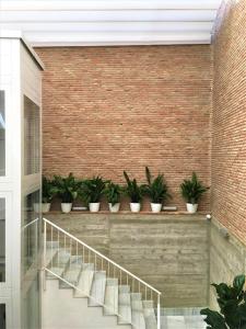 Hotel Ronda Nuevo