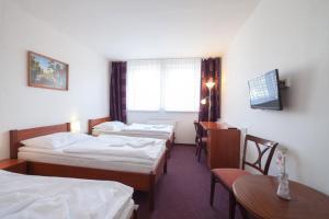 Postel nebo postele na pokoji v ubytování Interhotel Bohemia