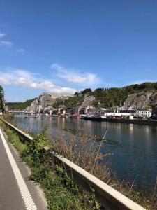 une route à côté d'une rivière avec des maisons sur le côté dans l'établissement Loft rénové au calme à la campagne pour famille, à Hastière-par-delà