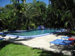 a swimming pool with blue chairs and palm trees at Pink Flamingo Resort in Port Douglas