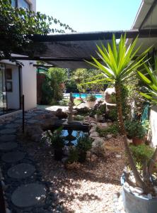 einen Garten mit einer Bank und einer Palme in der Unterkunft Port House in Bloubergstrand