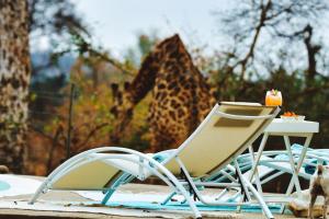 Grietjie Game ReserveNgalali Retreat的相册照片