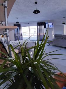 馬可波羅的住宿－21 Suites Deluxe Stay Near The Airport，相簿中的一張相片