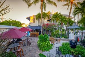 Zahrada ubytování Duval Inn - Key West