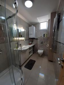 ein Bad mit einer Dusche, einem Waschbecken und einem WC in der Unterkunft CENTAR LUX Vršac in Vršac