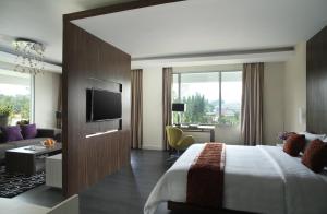 TV a/nebo společenská místnost v ubytování Patra Bandung Hotel