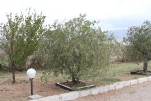 A garden outside Agriturismo Silos Agri