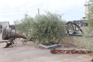 A garden outside Agriturismo Silos Agri