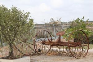 A garden outside Agriturismo Silos Agri