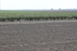 Kép Agriturismo Silos Agri szállásáról San Severóban a galériában