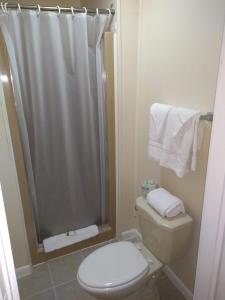a white bathroom with a shower and a toilet at Hotel Wayne in Honesdale