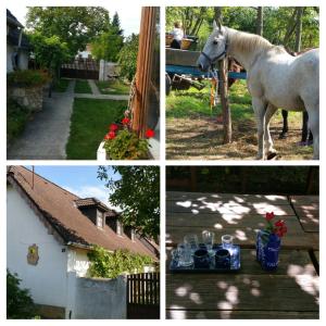 kolaż zdjęć z koniem stojącym na podwórku w obiekcie Derű Vendégház és Lovasudvar w mieście Fenyőfő