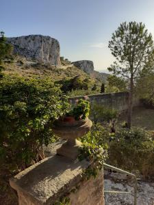 un jarrón lleno de plantas en una pared de piedra en Casa "Le Terrazze", en Erice