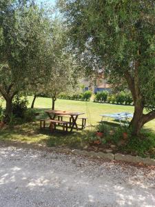 a picnic table and bench in a park with trees at casa in campagna alle porte di Rimini 3min fiera 3 min mare in Rimini
