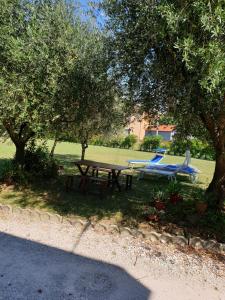 a picnic table and a bench in a park with trees at casa in campagna alle porte di Rimini 3min fiera 3 min mare in Rimini