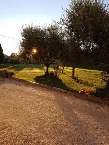 a road with a tree on the side of a field at casa in campagna alle porte di Rimini 3min fiera 3 min mare in Rimini