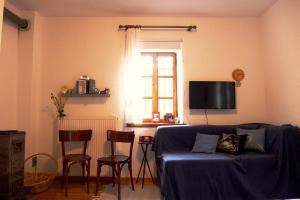 - un salon avec un canapé bleu et un oreiller pour chat dans l'établissement Πέτρινο παραδοσιακό σπίτι "Χιονάτη", à Nymfaio