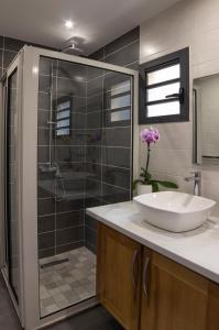 W łazience znajduje się umywalka i przeszklony prysznic. w obiekcie T2 - 64m2 - Résidence Georgette w mieście Terre Sainte