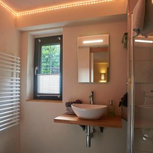 a bathroom with a sink and a mirror at Biggi‘s Garten-Finca in Flonheim