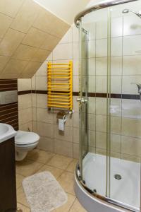 a bathroom with a shower and a toilet at Noclegi u Kiesza in Ustrzyki Dolne