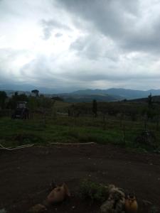 een uitzicht op een veld met bergen in de verte bij Rupe delle sorbe in Atella
