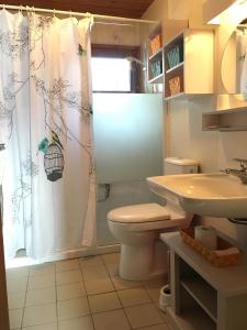 La salle de bains est pourvue de toilettes et d'un rideau de douche. dans l'établissement L’Eterle, à Aillon-le-Jeune