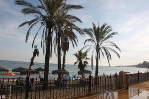 einen Strand mit Palmen und dem Meer in der Unterkunft Apartamento Costa Nagüeles in Marbella