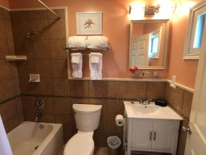 a bathroom with a toilet and a sink and a mirror at St. Francisville Inn in Saint Francisville