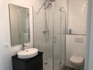 a bathroom with a shower and a sink and a toilet at Apartment Augsburg Mitte in Augsburg +8 photos