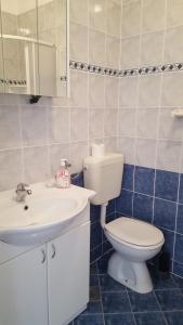 a bathroom with a toilet and a sink at Zagi in Povljana