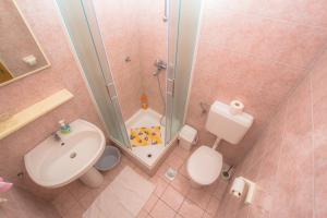 a bathroom with a shower and a sink and a toilet at Apartmani Jadranka in Primošten