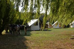 Zahrada ubytování Camping de Saverne