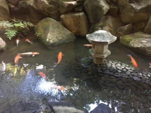 宫岛宫岛森林酒店的相册照片