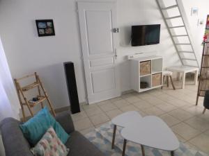 a living room with a couch and a tv at Gîte Les Esparrus in Villecroze