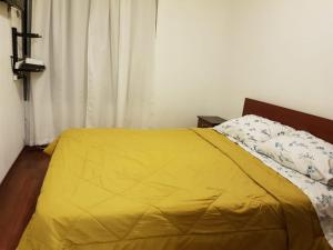 Gallery image of Carmen con Argomedo, PARKING por pagar in Santiago