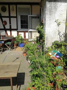 einen Garten mit Pflanzen, einem Tisch und einem Sonnenschirm in der Unterkunft Ferienwohnung Burg Lindenfels in Lindenfels