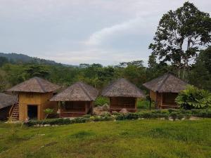 a group of huts with thatched roofs in a field at CXJ Travelers Inn in San Vicente