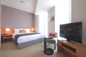 TV a/nebo společenská místnost v ubytování Hotel Arc Riche Toyohashi