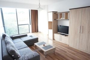 a living room with a couch and a tv at Citadella Apartament in Târgu-Mureş