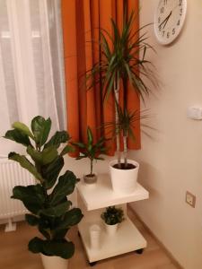 Foto dalla galleria di Modern, Quiet & Cozy Apartment in the middle of Downtown near Danube at Fashion street a Budapest