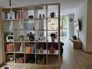 um quarto com uma prateleira cheia de livros em Ferienwohnung Schwartz em Singen