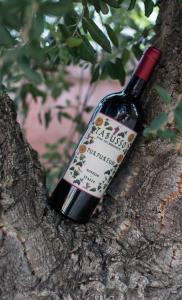 Eine Flasche Wein sitzt auf einem Baum in der Unterkunft Villa Anselma in Novello