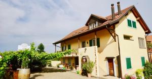 una casa antigua con un patio y un edificio en Cave Du Treyblanc, en Luins