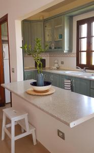 a kitchen with a plant in a bowl on a counter at Sea Mountain in Atlántico in Costa Del Silencio