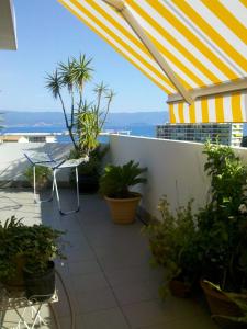 um pátio com um guarda-chuva, uma mesa e plantas em Chambre d'hôte Les Jardins Du Forcone em Ajaccio