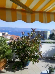 阿雅克修干草叉花园住宿加早餐旅馆的相册照片 更多14张照片