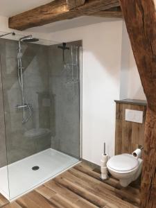 a bathroom with a shower and a toilet at Appartement style industriel avec terrasse in Givet +19 photos